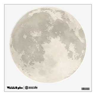 Full Moon Fabric Paper Wall Decal (Reusable)