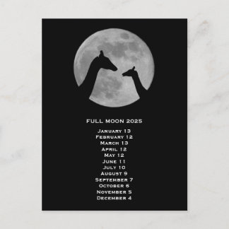 Full Moon Giraffe 2025 Postcard