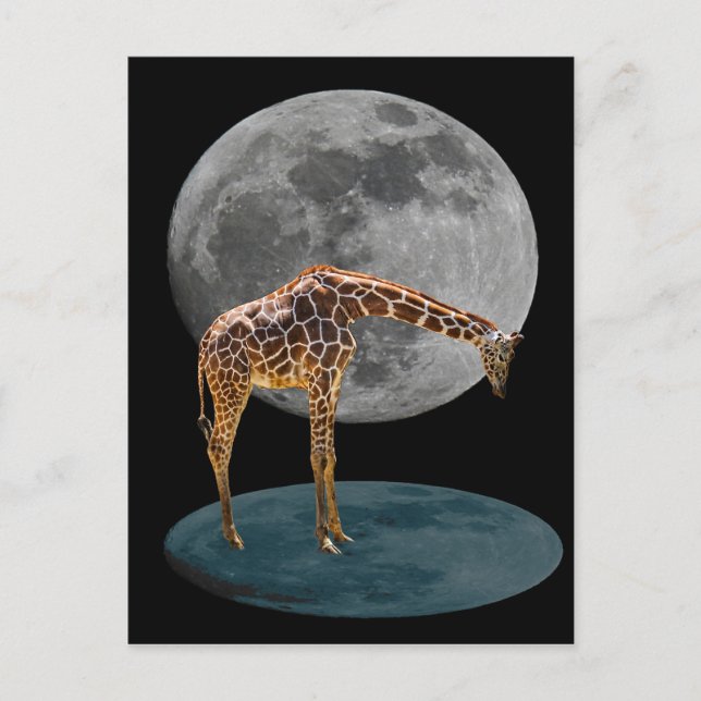 FULL MOON GIRAFFE POSTCARD (Front)