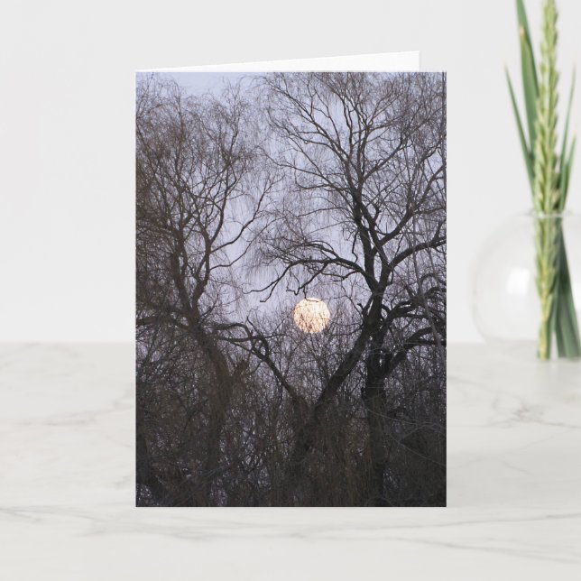Full Moon in Bare Trees photo Card (Front)