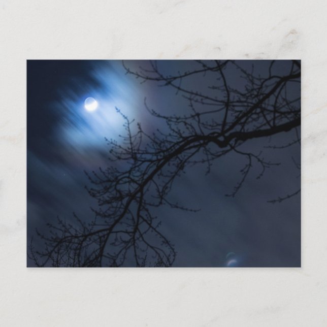 Full Moon in Night Sky, Ohio Postcard (Front)