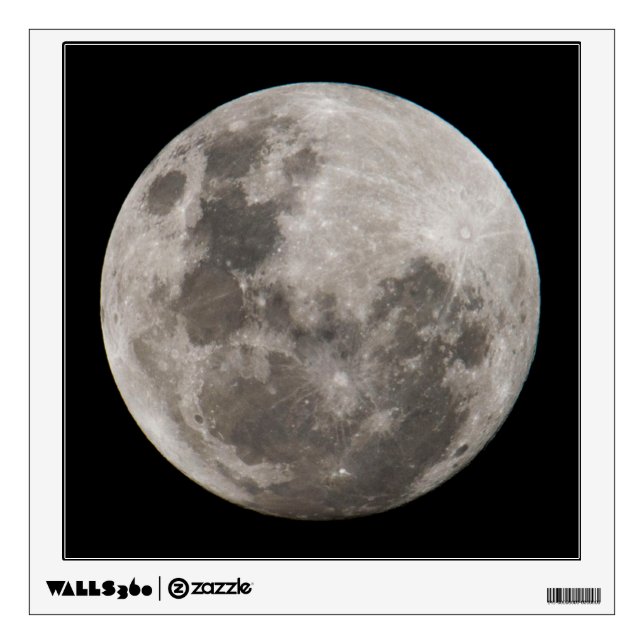 Full Moon | Johannesburg South Africa Wall Decal (Front)