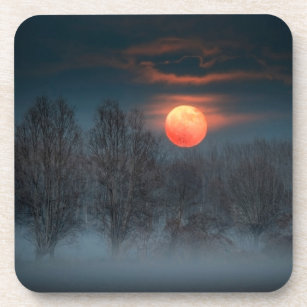 Full Moon   November in Scalenghe, Italy Beverage Coaster