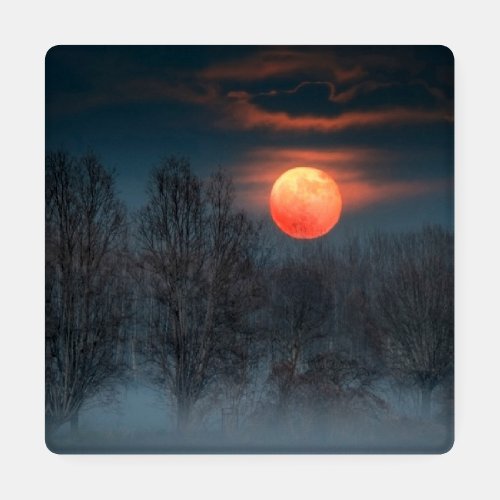 Full Moon  November in Scalenghe Italy Coaster Set