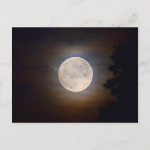 Full Moon on a Misty Evening - Postcard
