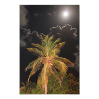 Full Moon over a Tropical Palm Photo Print