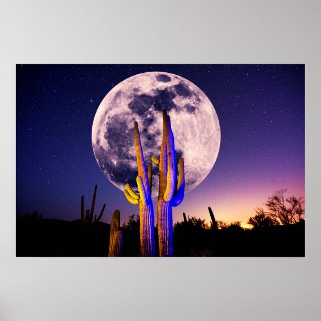 Full Moon Over Saguaro Cactus Poster (Front)