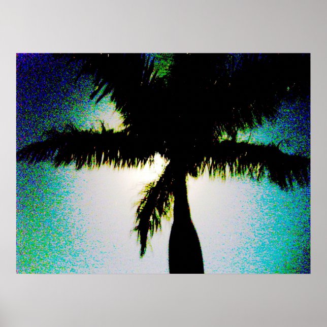 Full Moon & Palm Tree Poster (Front)