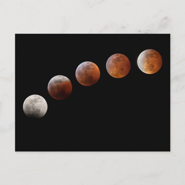 Full Moon Phases Total Lunar Eclipse | Colorado Postcard (Front)