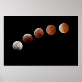 PHASES OF THE MOON, FULL MOON. PHOTO 1 OF 5. POSTER | Zazzle