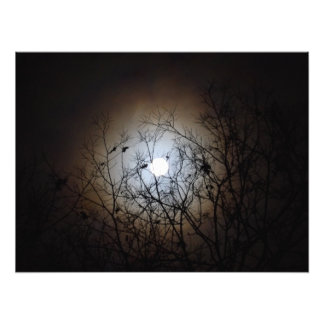Full Moon Photograph