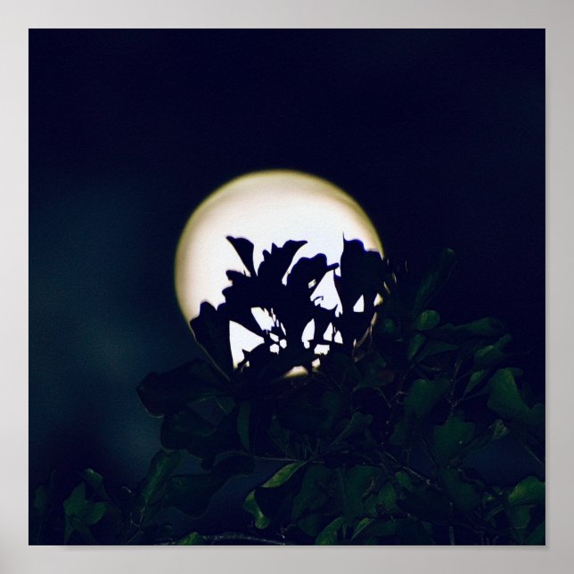 Full Moon Photography Poster print for framing (Front)