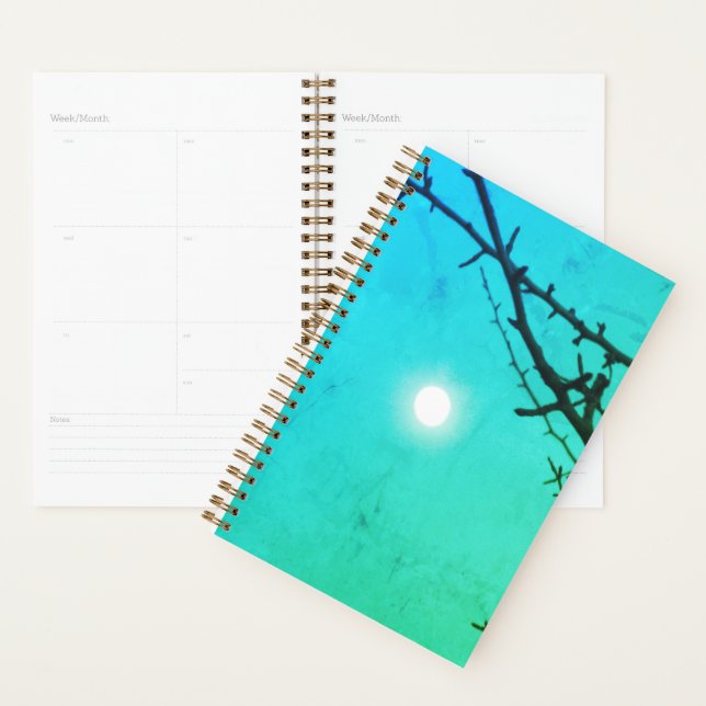 Full Moon Planner (Display)