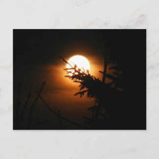 Full Moon Postcard