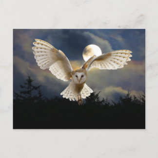 "Full Moon" Postcard