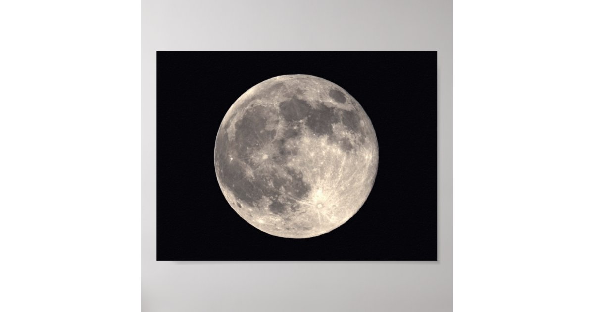 Full Moon Poster Zazzle