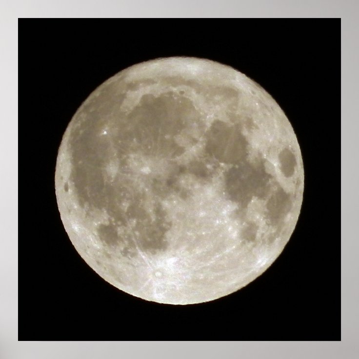 Full Moon Poster | Zazzle