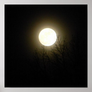Full Moon Poster