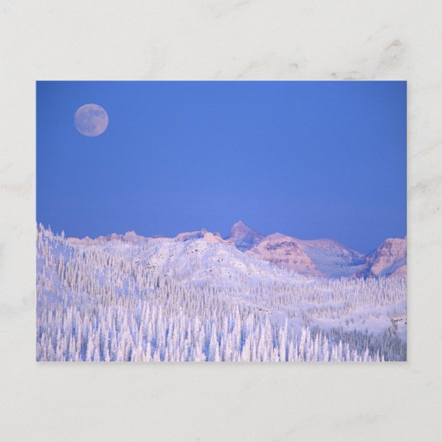 Full moon rising above Glacier National Park Postcard (Front)