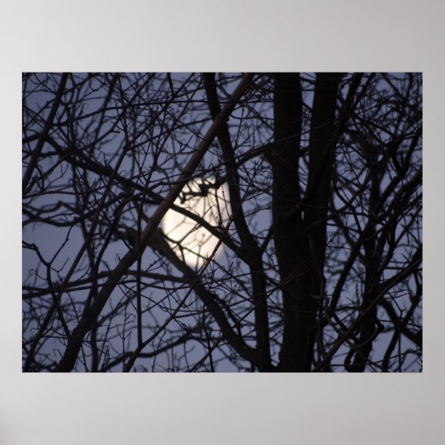 Full Moon scene Poster (Front)