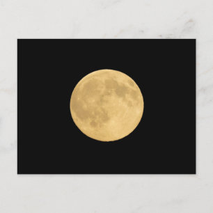 Full Moon Seattle, Washington Postcard