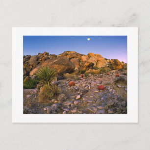 " Full Moon Setting Over Ring Of Fire" Postcard