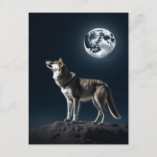 Full Moon Shining on the Wolf Blank Postcard