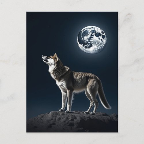 Full Moon Shining on the Wolf Blank Postcard