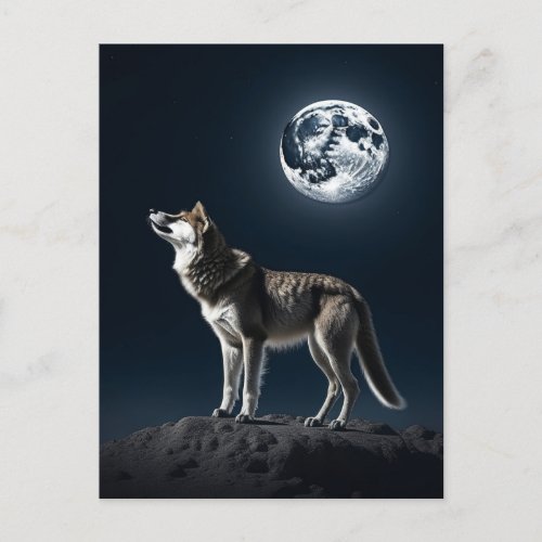 Full Moon Shining on the Wolf  Postcard