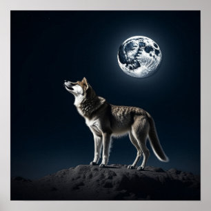 Full Moon Shining on the Wolf  Poster