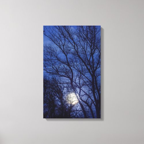 Full moon through bare winter trees canvas print