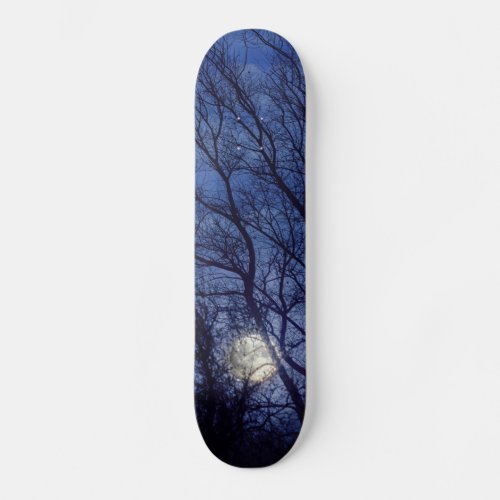 Full moon through bare winter trees skateboard