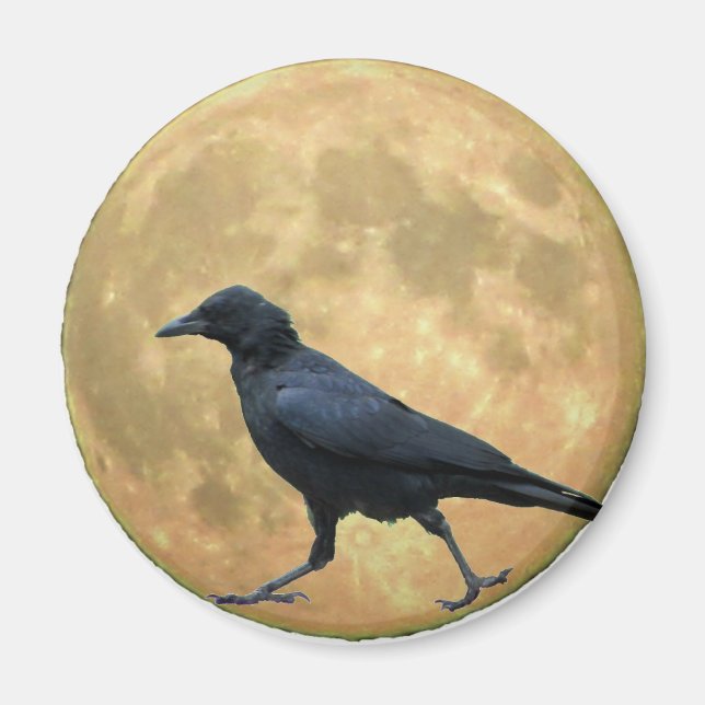 Full Moon, Walking Crow Magnet (Front)