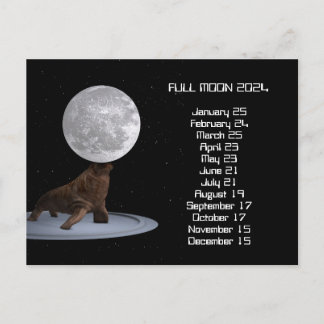 Full Moon Walrus US Eastern Date 2024 Postcard