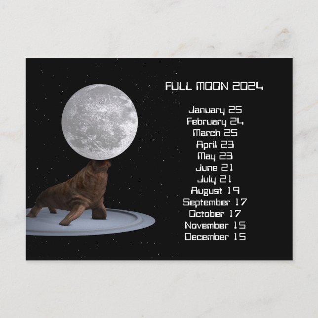 Full Moon Walrus US Eastern Date 2024 Postcard (Front)