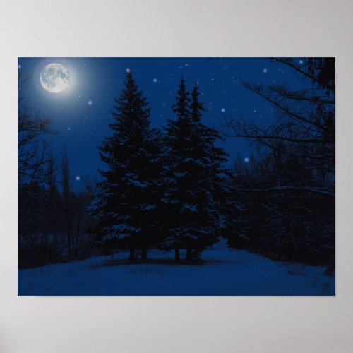 Full Moon Winter Night Poster