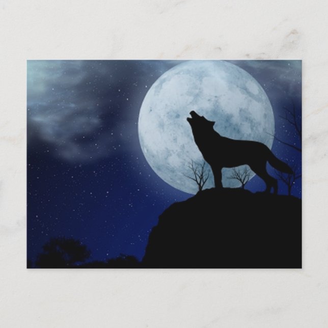 Full Moon Wolf Postcard (Front)