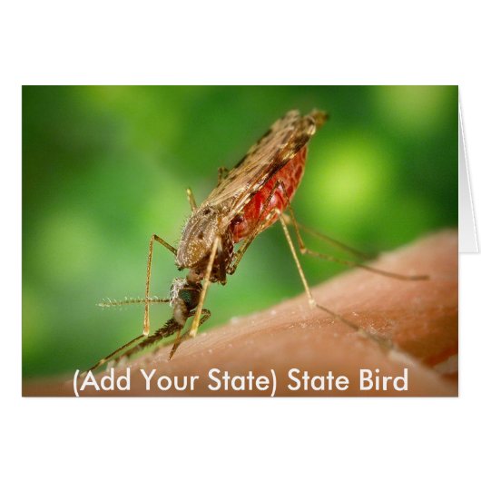 Full Mosquito - State Bird Cards (Front Horizontal)