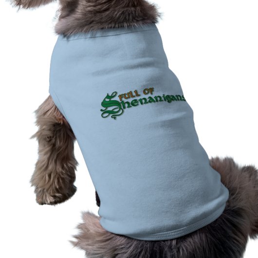 Full of Shenanigans Tee (Back)