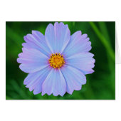 Full of Stars (Front Horizontal)