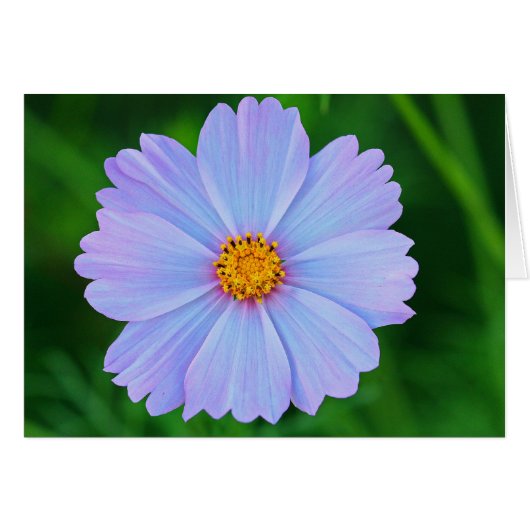 Full of Stars (Front Horizontal)