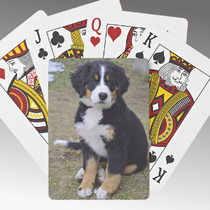 Full Photo Pets Keepsake Excellent Print Poker Cards