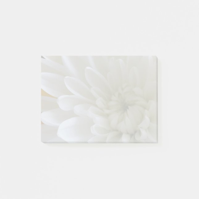 Full Photo White Flower Notes (Front)