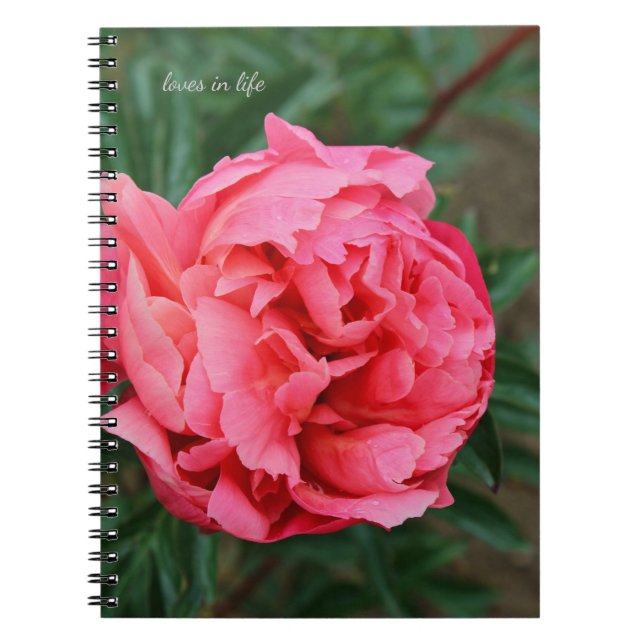 Full Pink Peony  Notebook (Front)