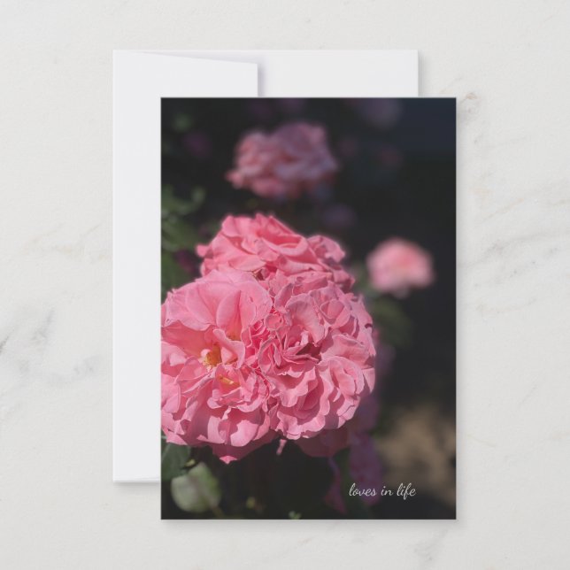 Full Pink Rose Note Card (Front)