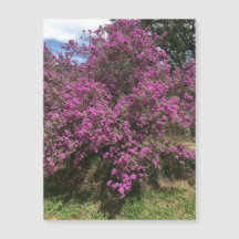 Full Rebel Sage Magnet