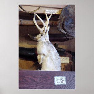 Full Size Jackalope $287.00 Poster