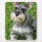 Full Size Mini Schnauzer Mouse pad