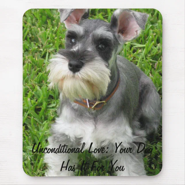 Caroline Treasures Cavalier Spaniel Mouse Pad, Hot Pad o Trivet, multicolor (BB2154MP) : Caroline's Treasures