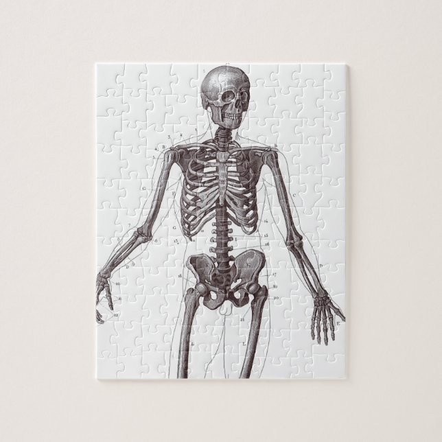 Full Skeleton Jigsaw Puzzle (Vertical)